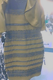 The dress 3 The dress 3