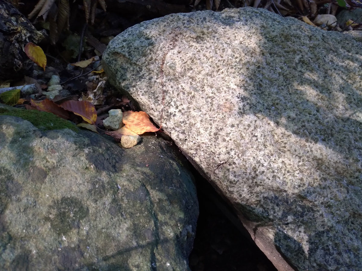 two gray rocks