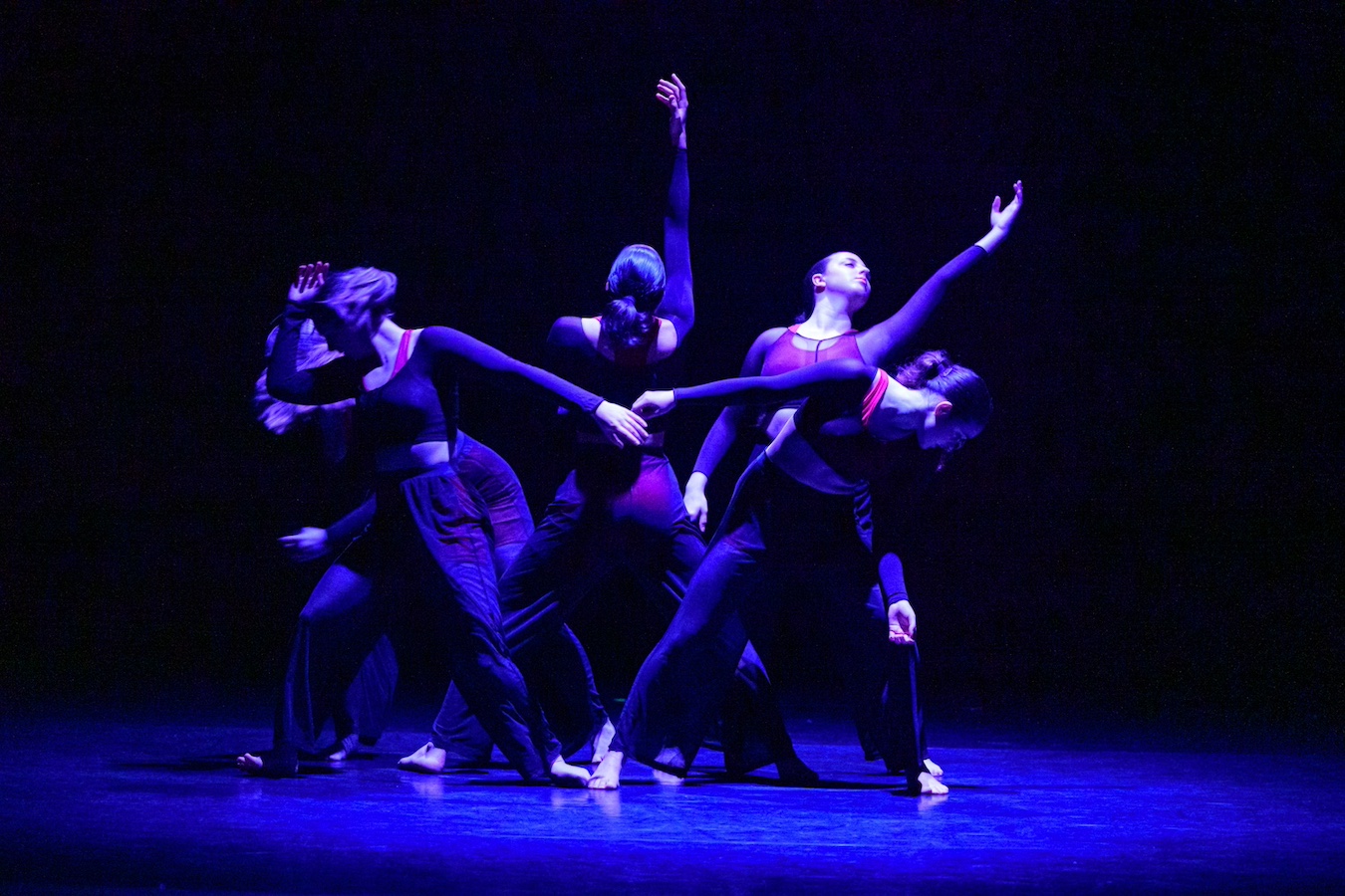 Dance DPA Fall Dance Concert performers