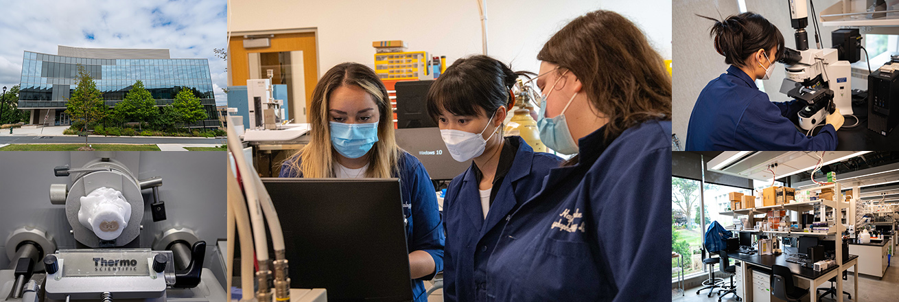 Students and equipment in the Psychopharmacology lab
