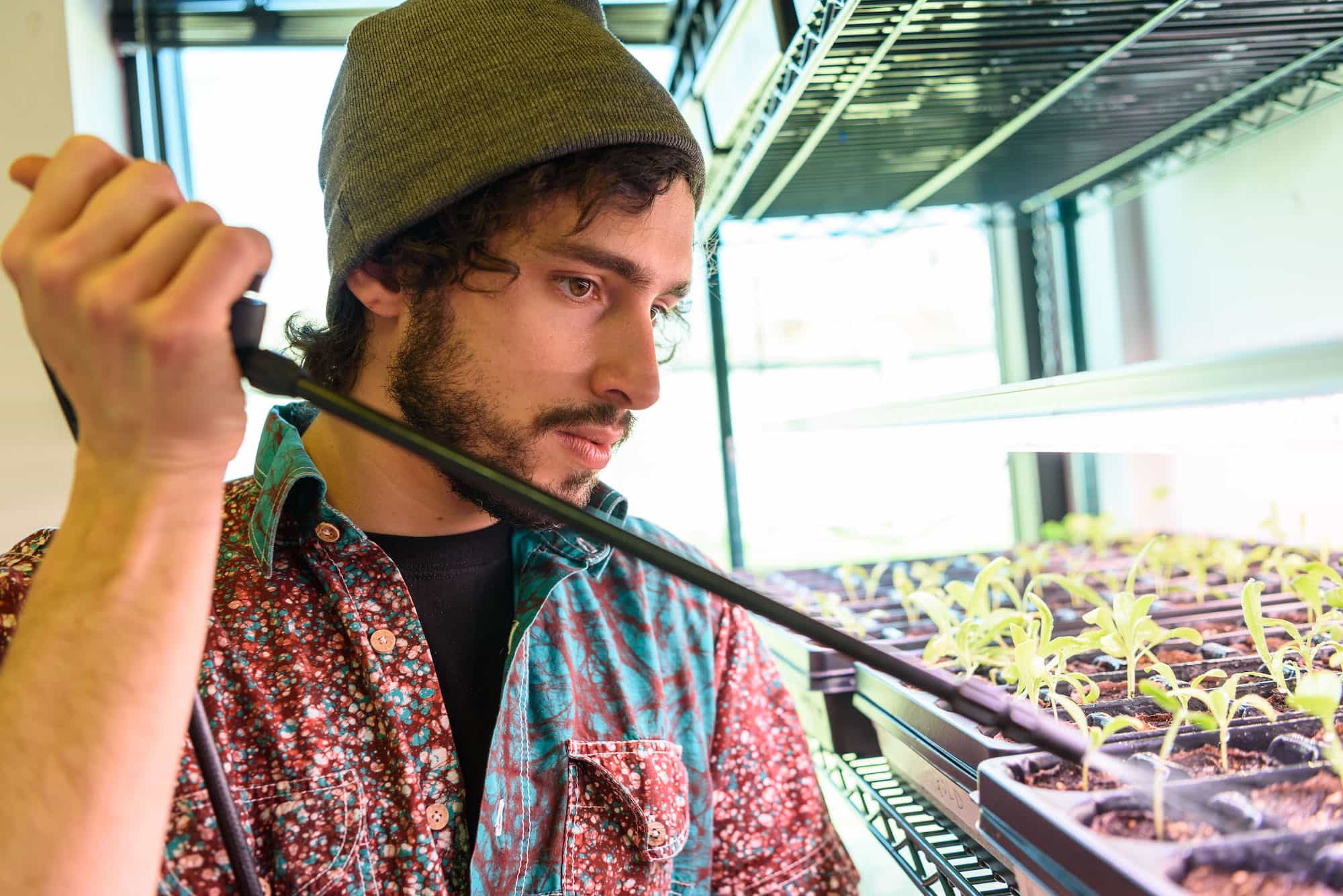 Anthony Frank watering plants for a new work in his studio.