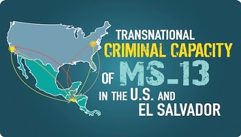 Transnational Capacity of the MS13 project logo