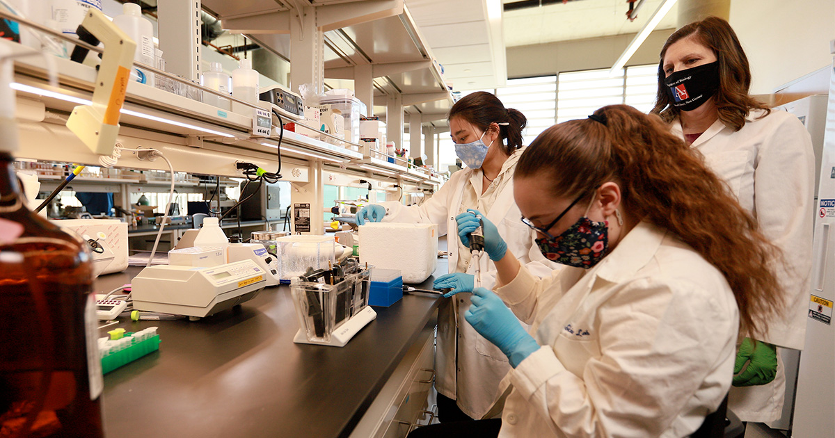 Students work in a lab