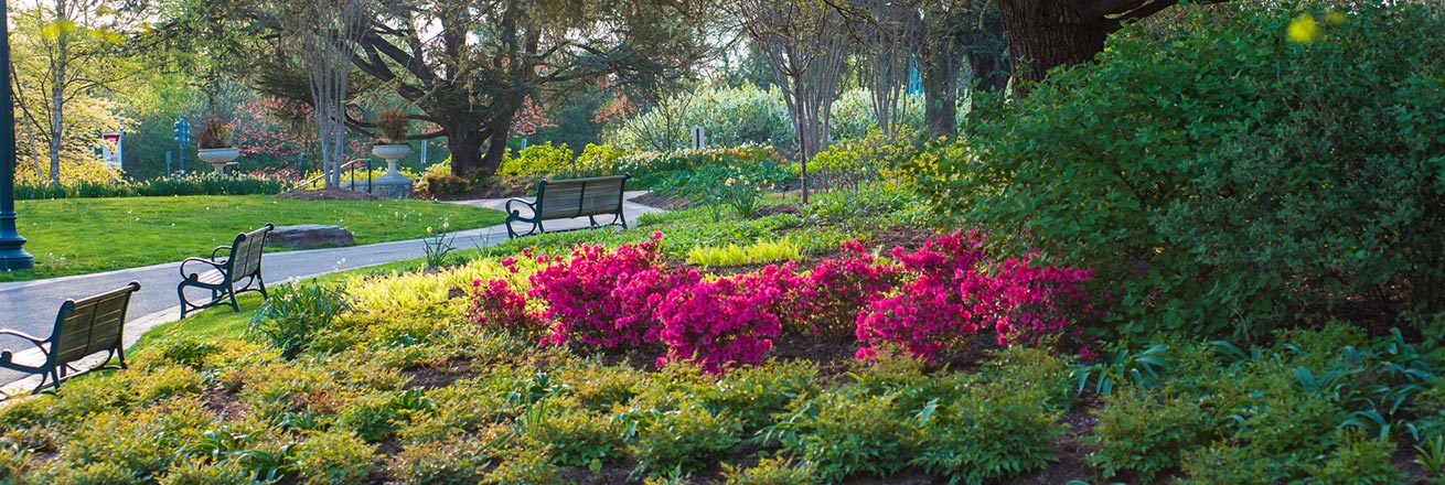 Flowers and benches on campus