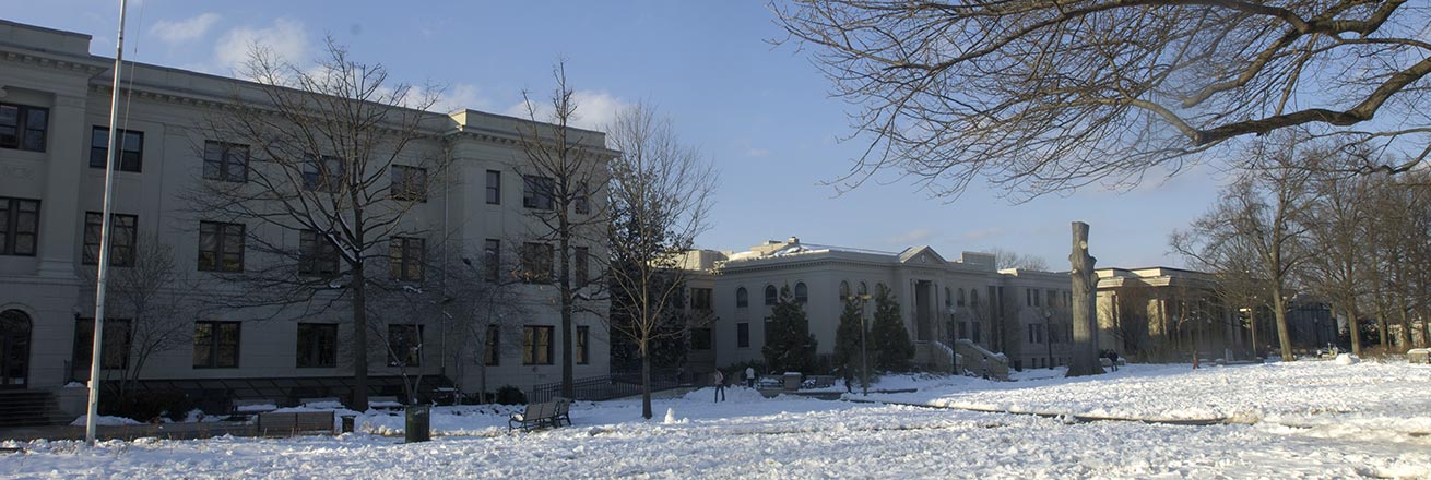 Snow on the quad