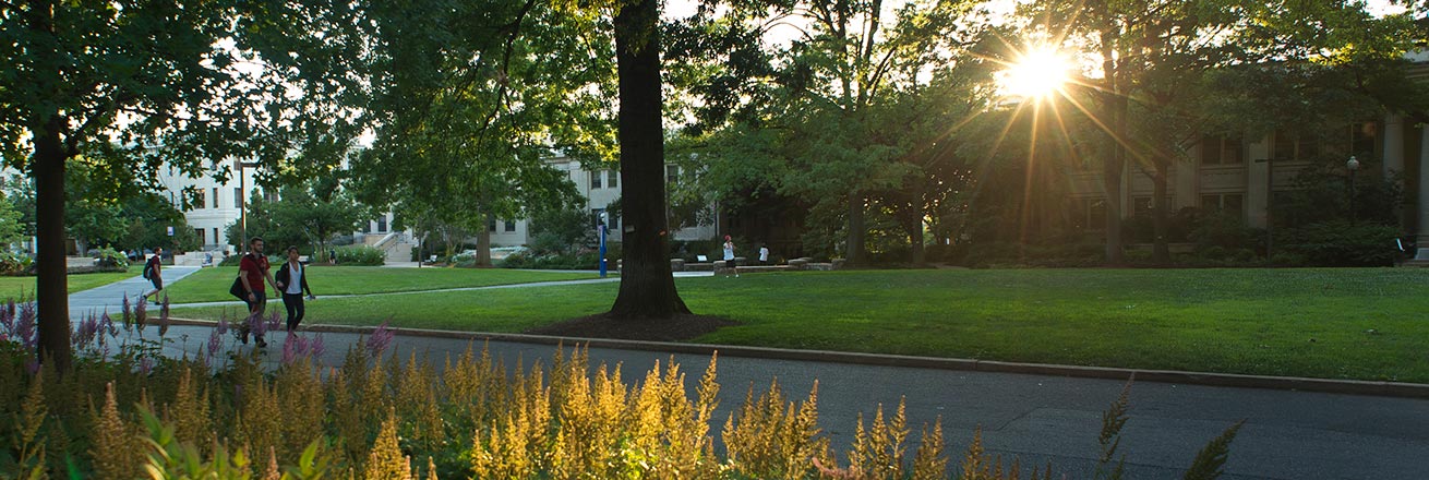 Students walking on campus in early morning sunrise