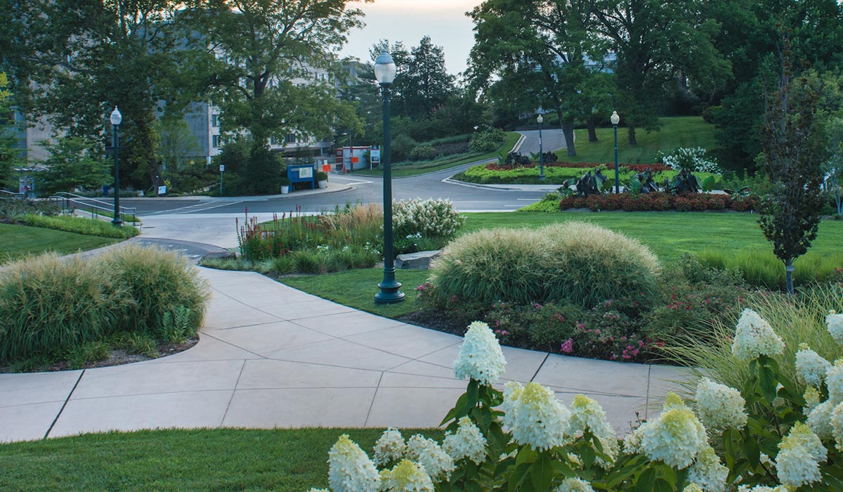 Campus walkway