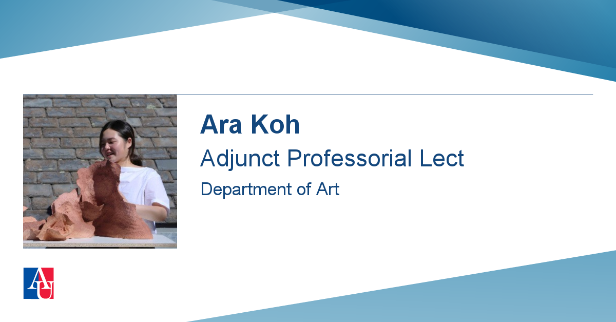 Profile ara koh american university washington dc