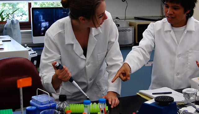 Abigail Labella (left) and Ariel Aspiras sort samples for storage in the lab
