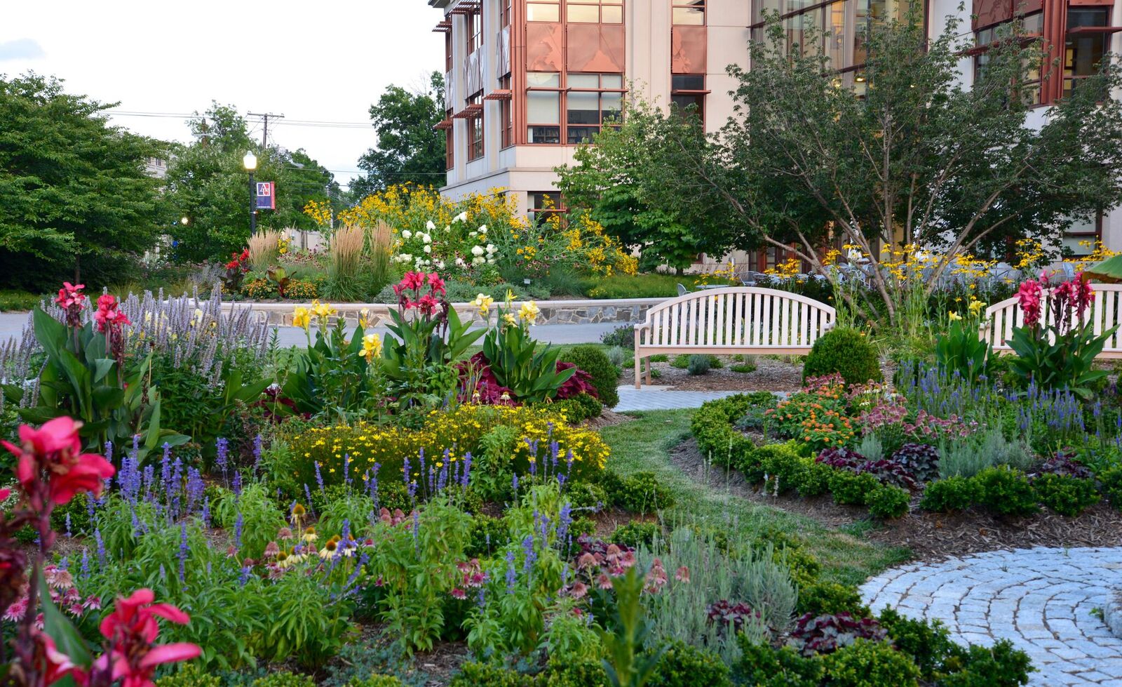 ann's garden