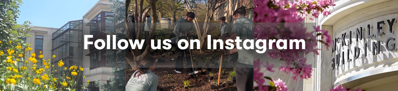 Follow us on Instagram