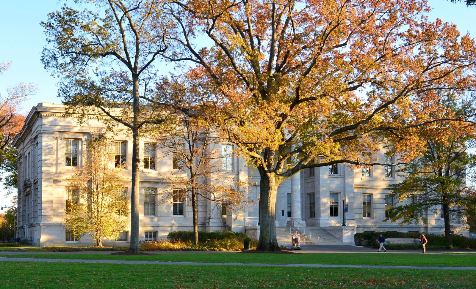 friedheim quad
