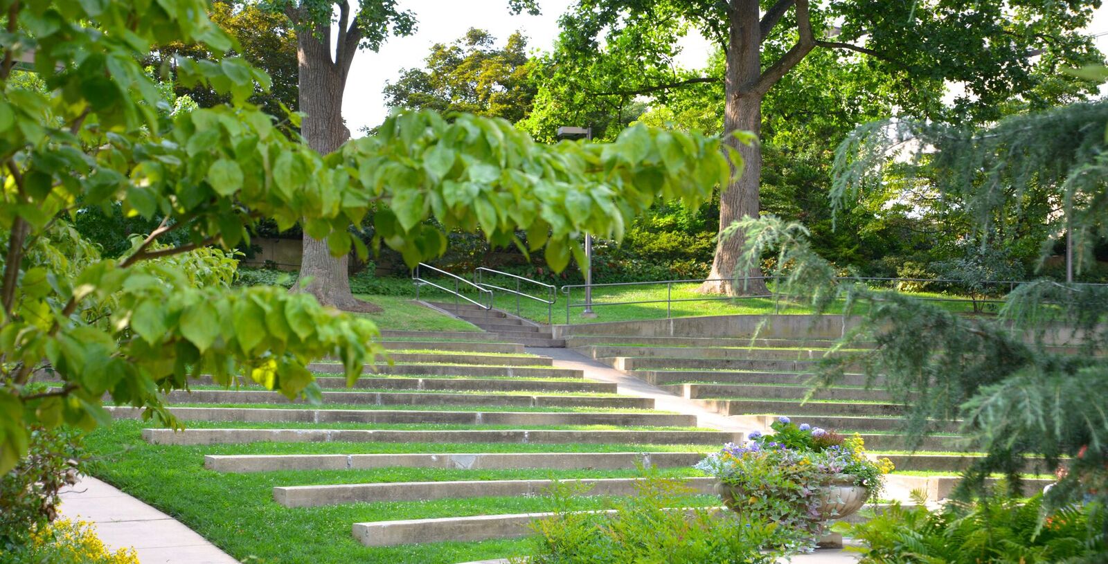Woods Brown Amphitheatre