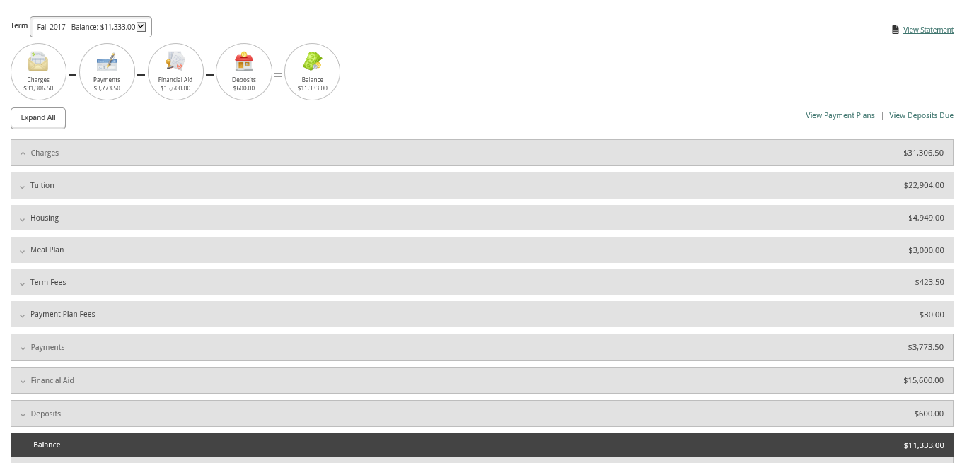 An itemized list of charges on the account activity tab