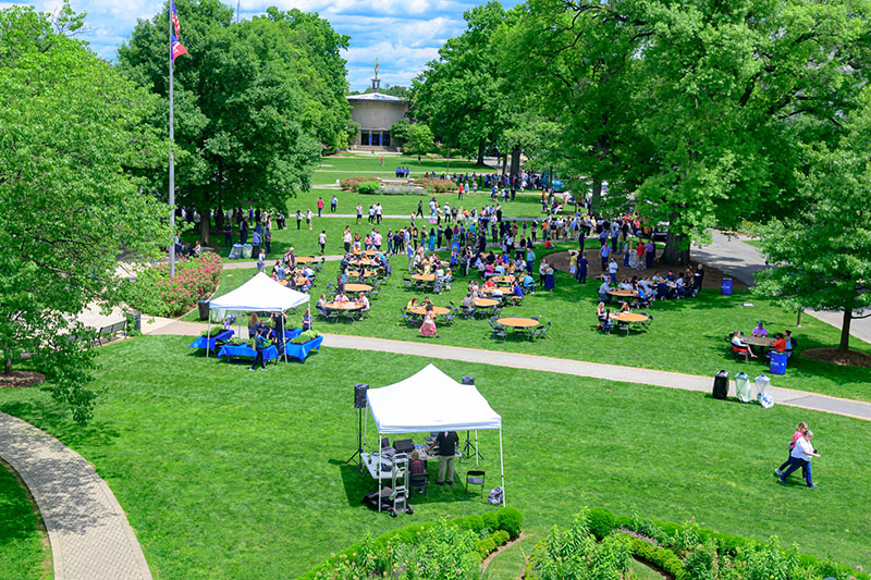 staff picnic on the quad