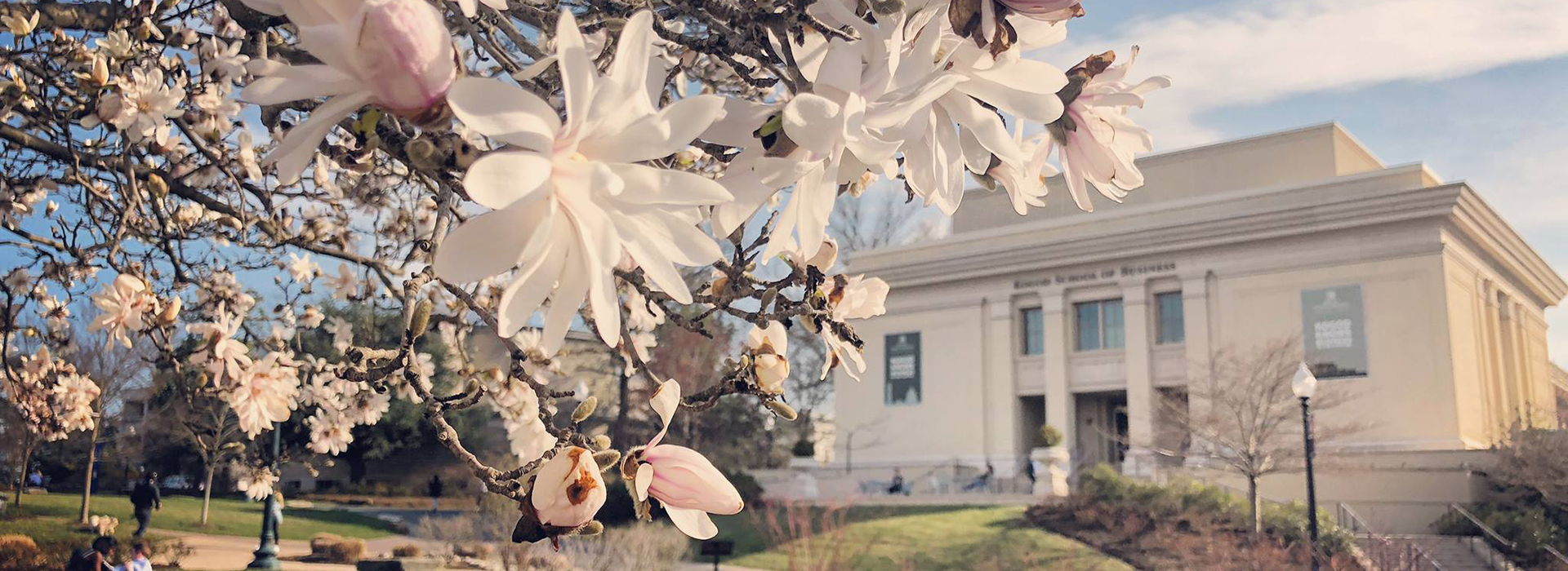 Kogod Building with the Cherry Blossoms
