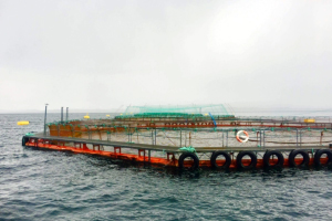 Dock in the Norwegian sea