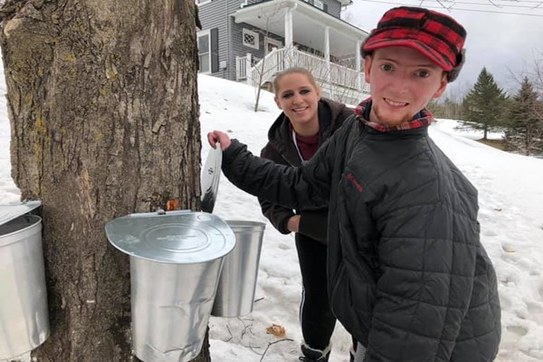 Zecchinelli's son collecting sap to make sap water.