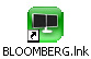 Bloomberg  for launching program button