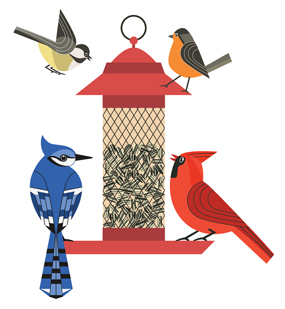 illustrated birds gathered around a feeder