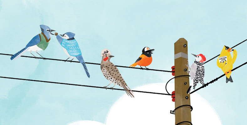 illustrated birds on a telephone wire