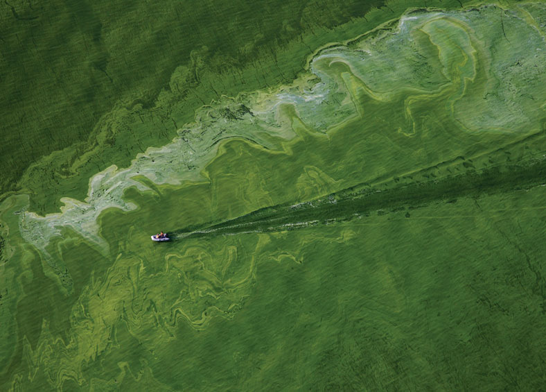 Algae on Lake Erie