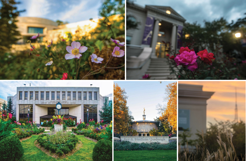 Campus trees and flowers throughout the seasons