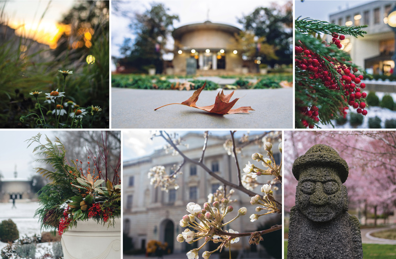 campus trees and flowers throughout the seasonss