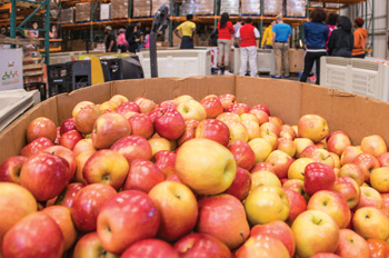 boxes of apples at the Capital Area Food Bank