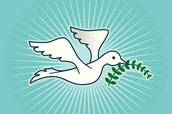 illustration of a dove