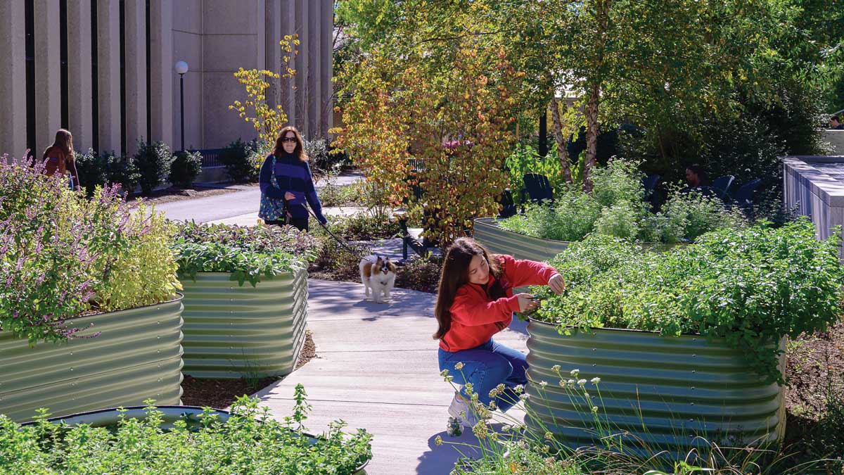 AU community members enjoy the Companion Garden