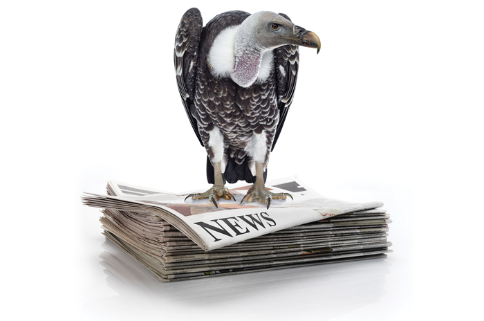 a vulture sitting on a stack of newspapers