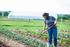 A woman working in the organic garden at Airlie.