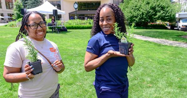 AU staff pick up herb plants on the quad. Photo by Jeff Watts. 