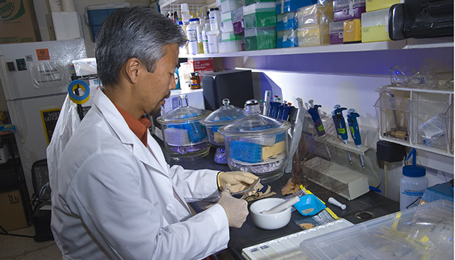 Kiho Kim examines coral in his lab.