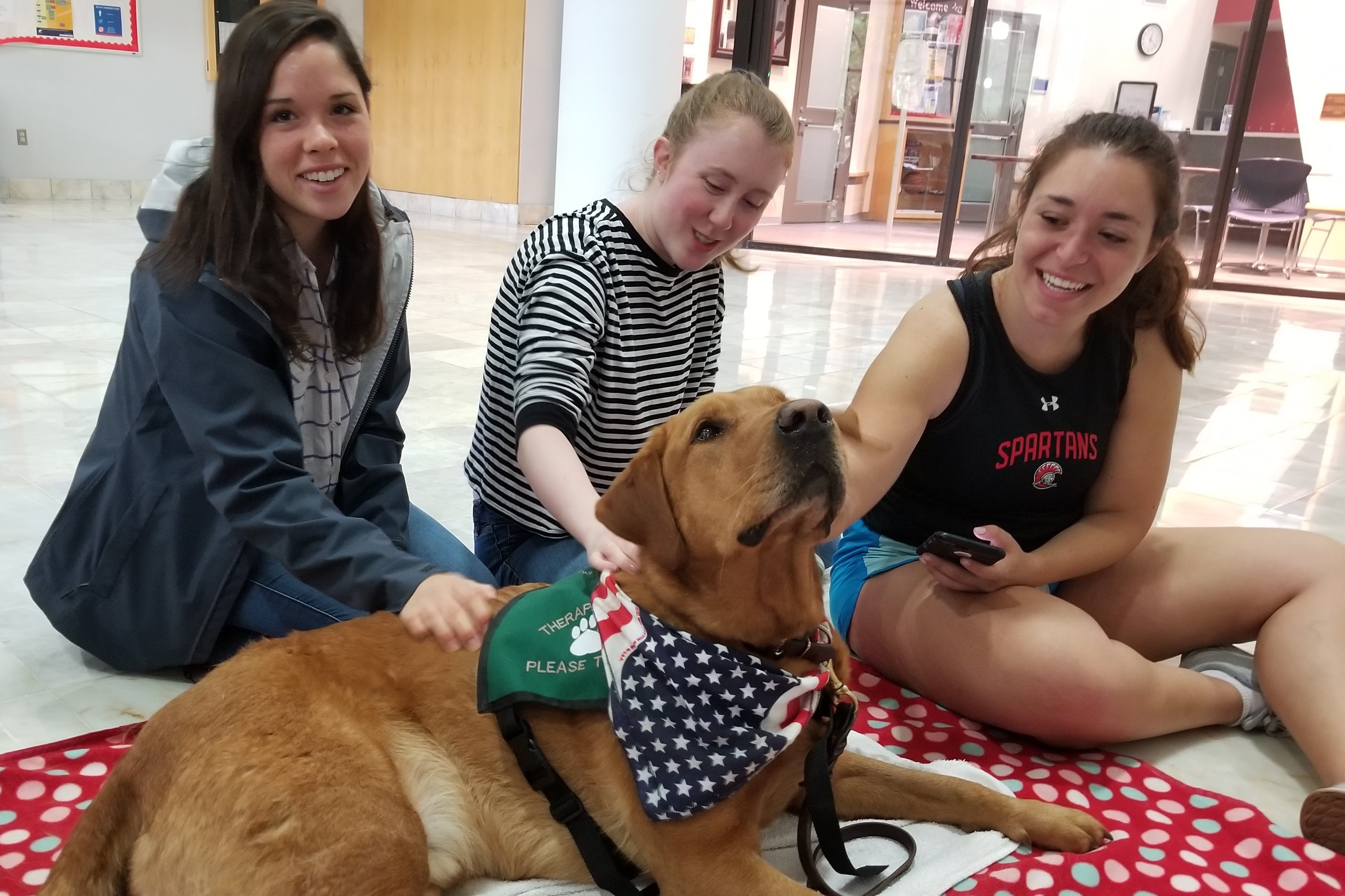 De-Stress with Dogs