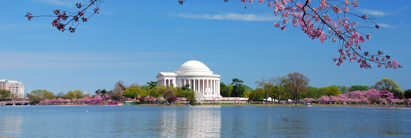 Jefferson Memorial with Cherry Blossoms