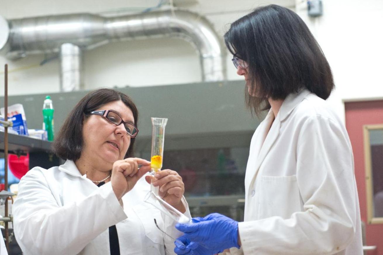 Professor working in lab with student.