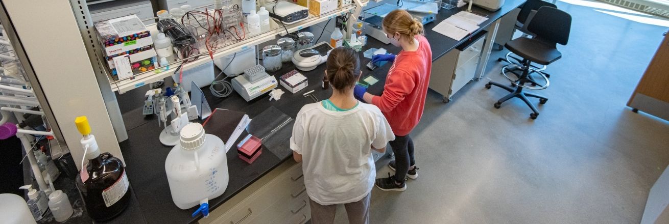 Student's in lab