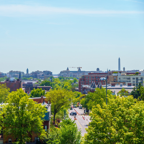 Trees in DC
