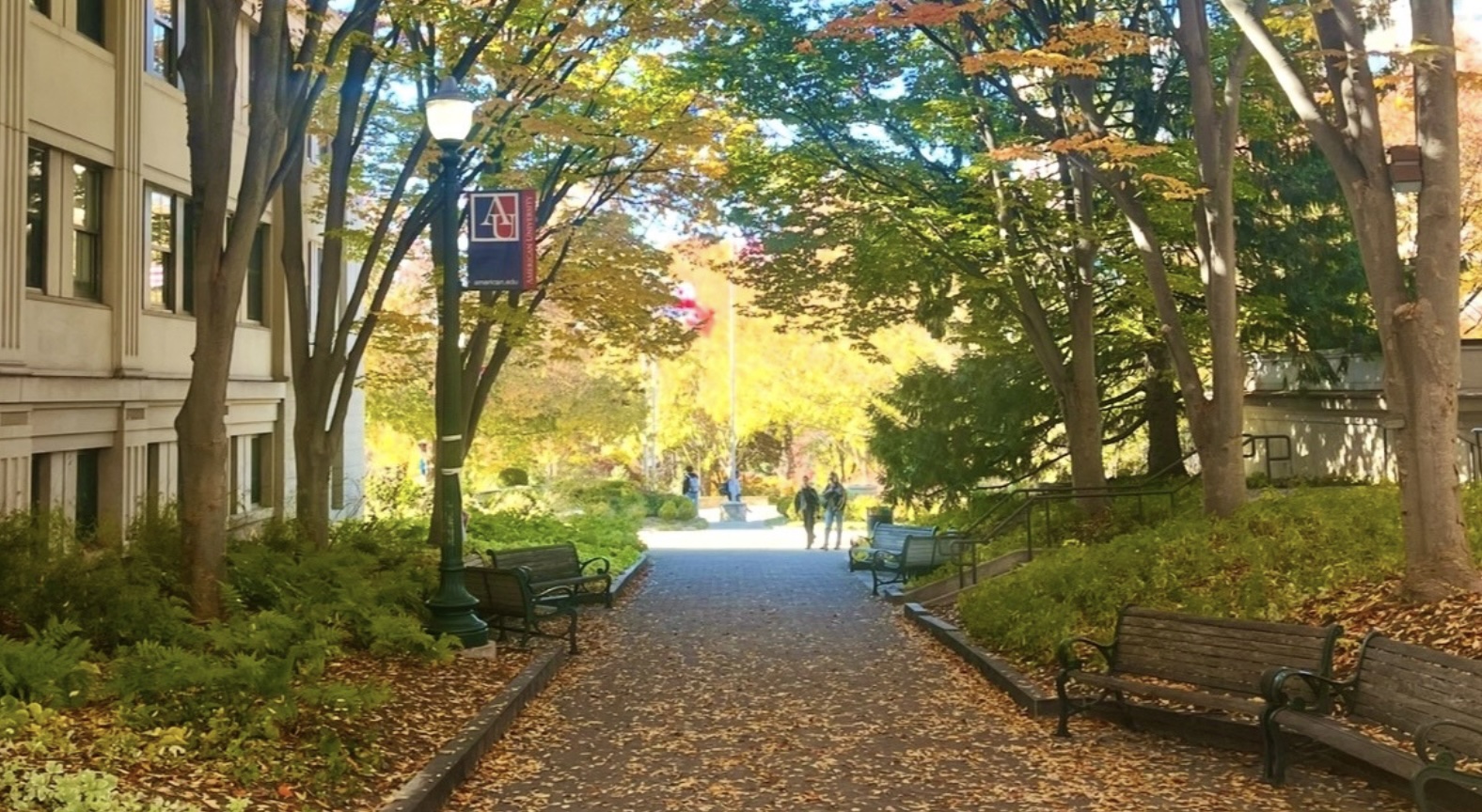 AU's campus in the fall