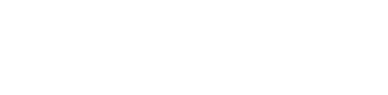 Sine Institute of Policy and Politics