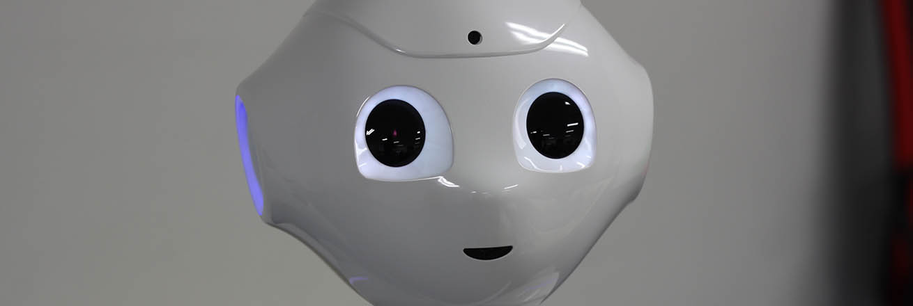pepper the robot