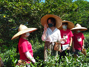 Samantha Chai in a field with other workers in Taiwan picking plants