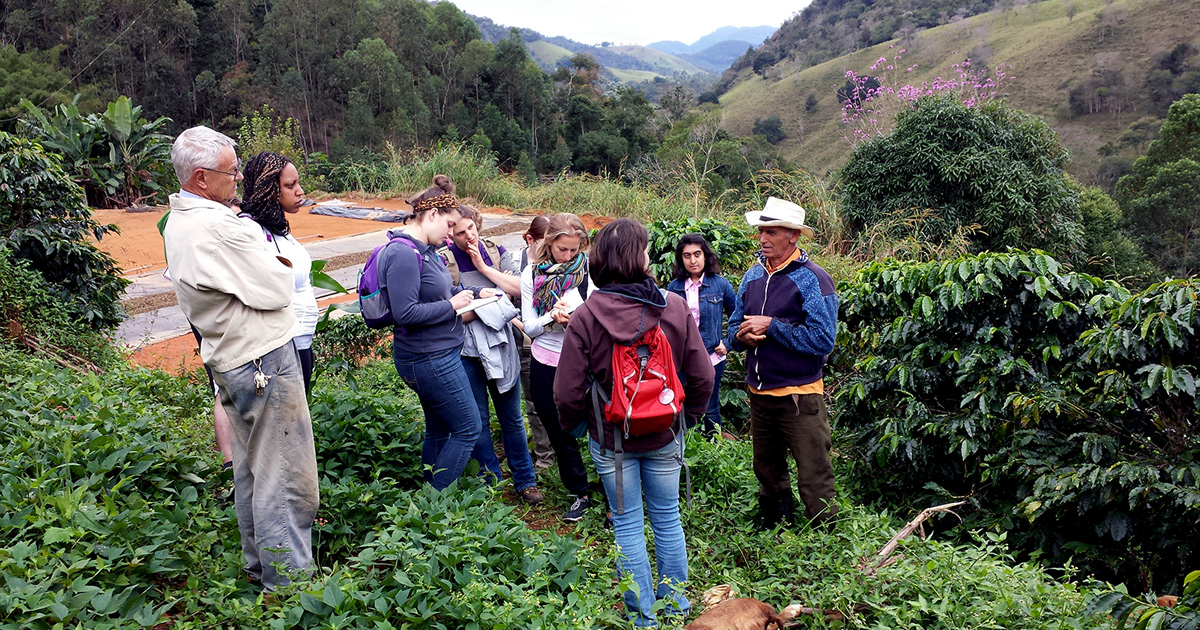 SIS students listen to a guide on a hike in Brazil.