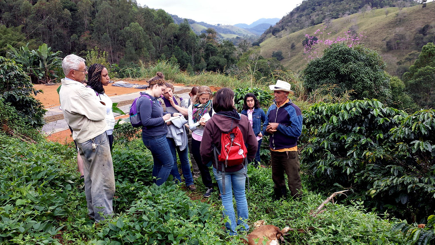 SIS students listen to a guide on a hike in Brazil.