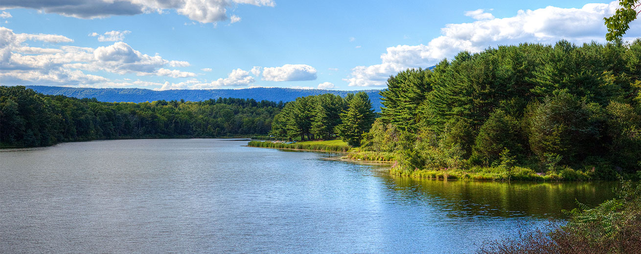 Lake and trees