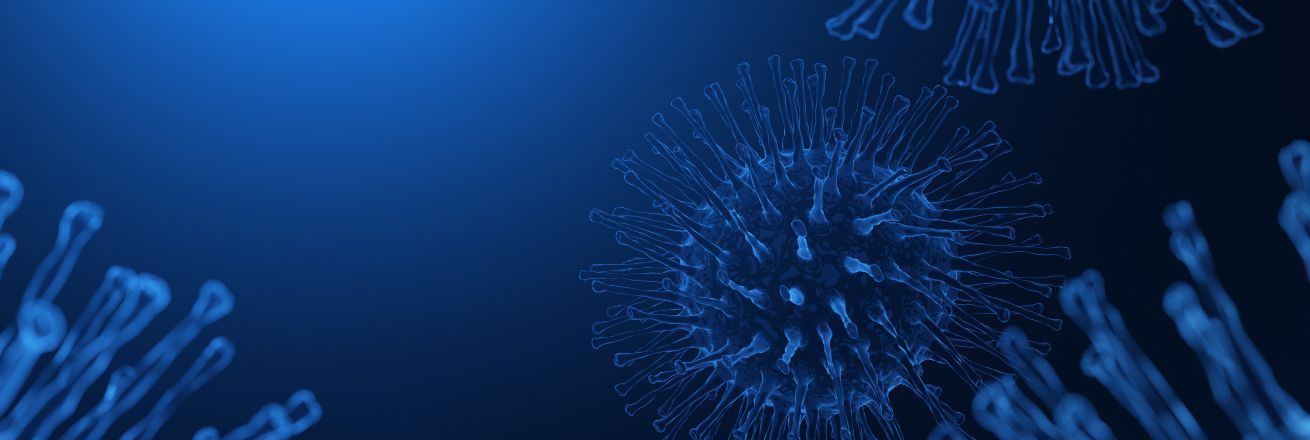 Coronavirus cell