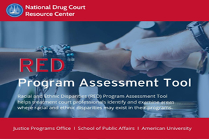 RED Program Assessment Tool