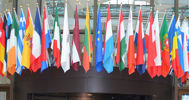 international flag display